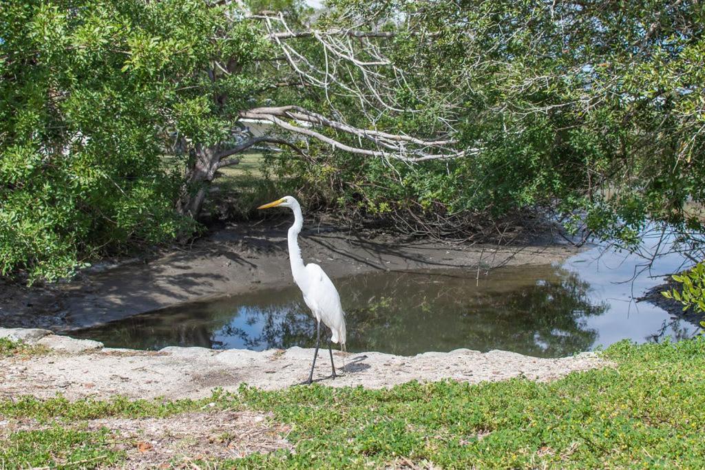 Marsh Front Birders Paradise Close To Beaches And Downtown St. Augustine Exterior photo