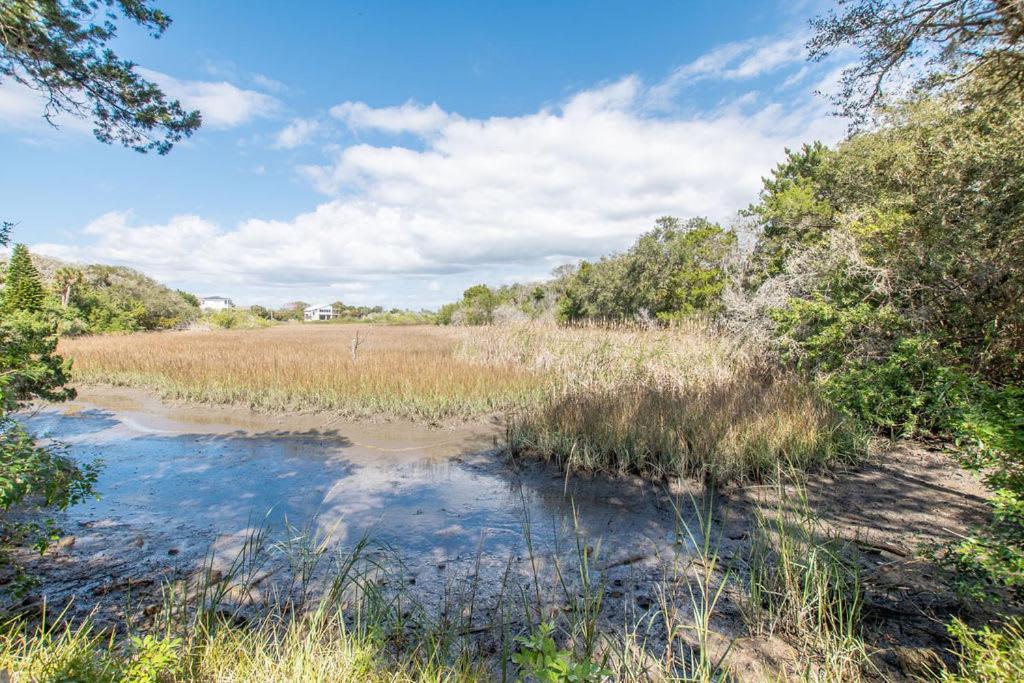 Marsh Front Birders Paradise Close To Beaches And Downtown St. Augustine Exterior photo